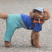 푸들